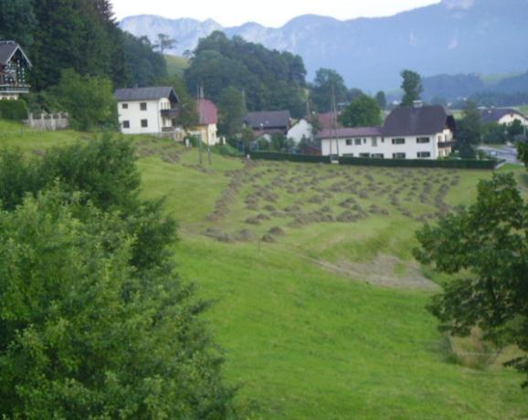 Bauernhof Kasleitner Zell am Moos Exterior foto