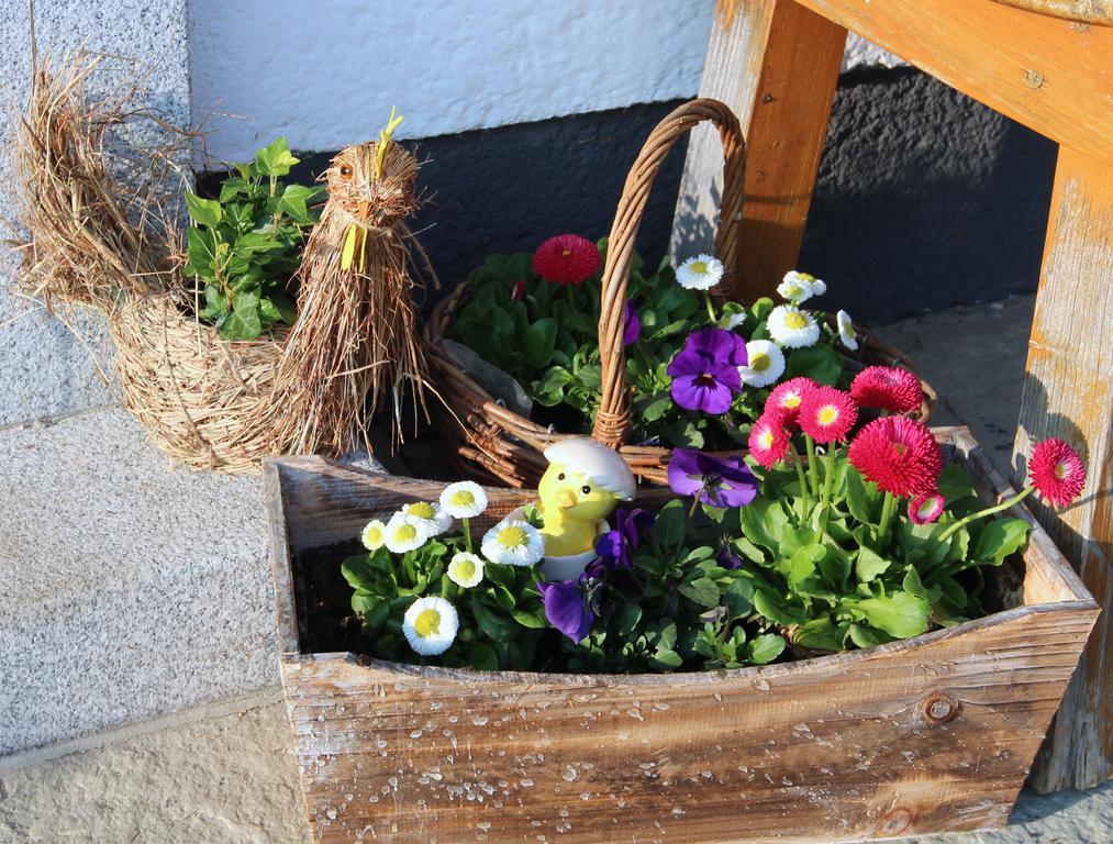 Bauernhof Kasleitner Zell am Moos Exterior foto