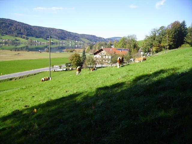 Bauernhof Kasleitner Zell am Moos Exterior foto